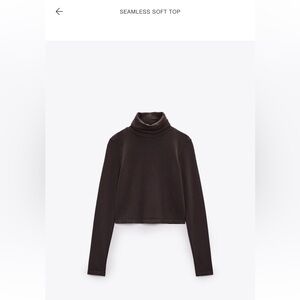 ZARA Turtle Neck